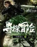 奇探冒险