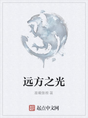 远方之光