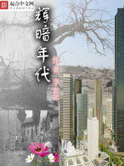 辉暗年代
