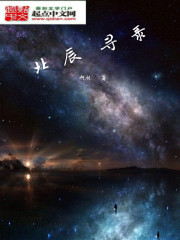 北辰寻录