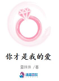 你才是我的爱