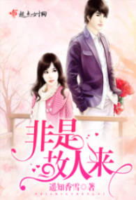 非是故人来