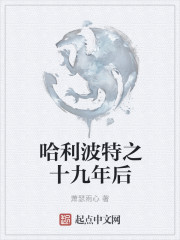 哈利波特之十九年后