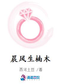 晨风生楠木