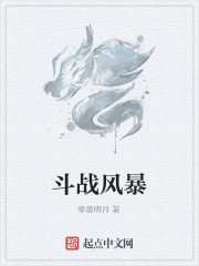 斗战风暴